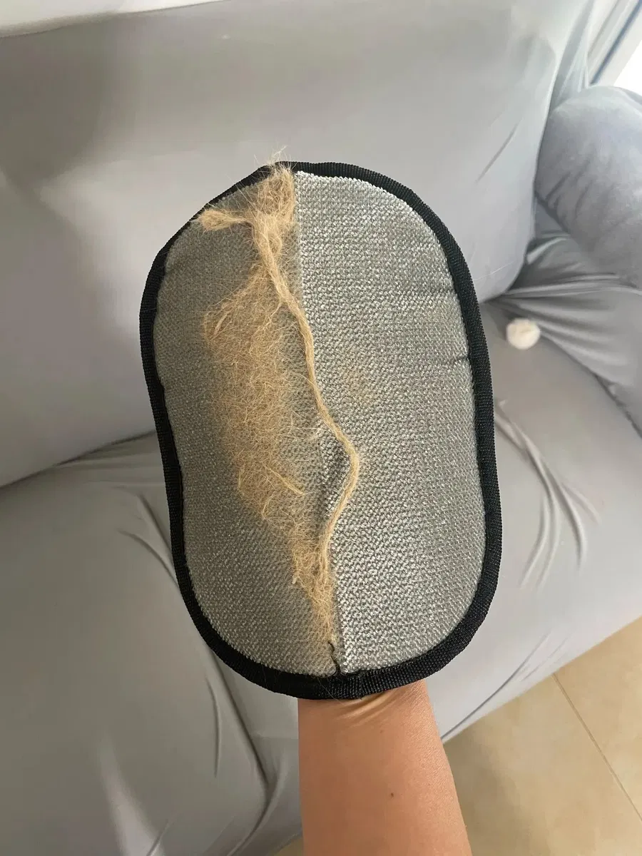 Foto do produto enviada por João Santos